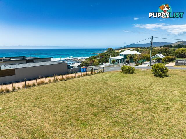 39 Stieglitz Street FALMOUTH TAS 7215