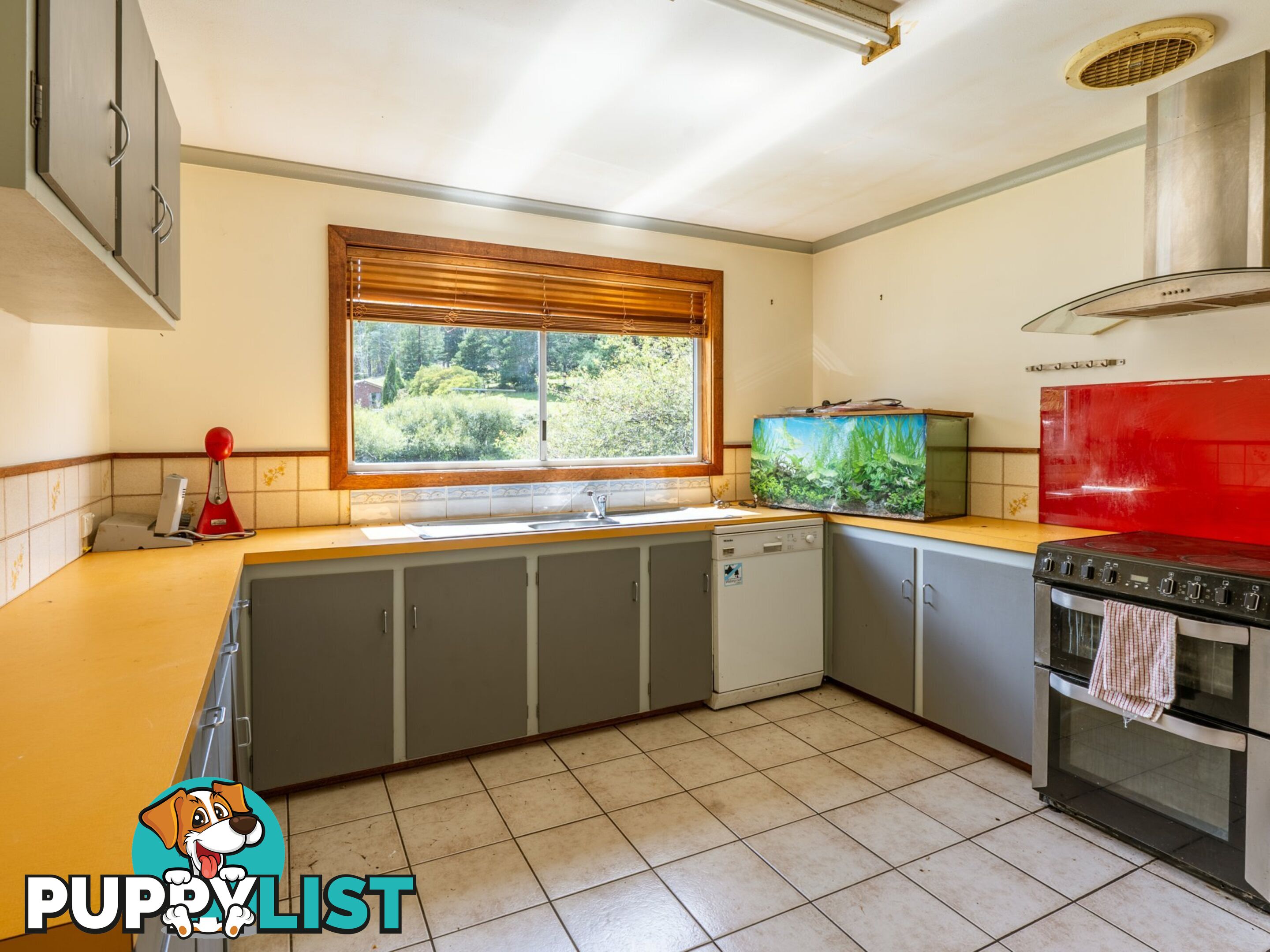 9 Royles Road ST MARYS TAS 7215