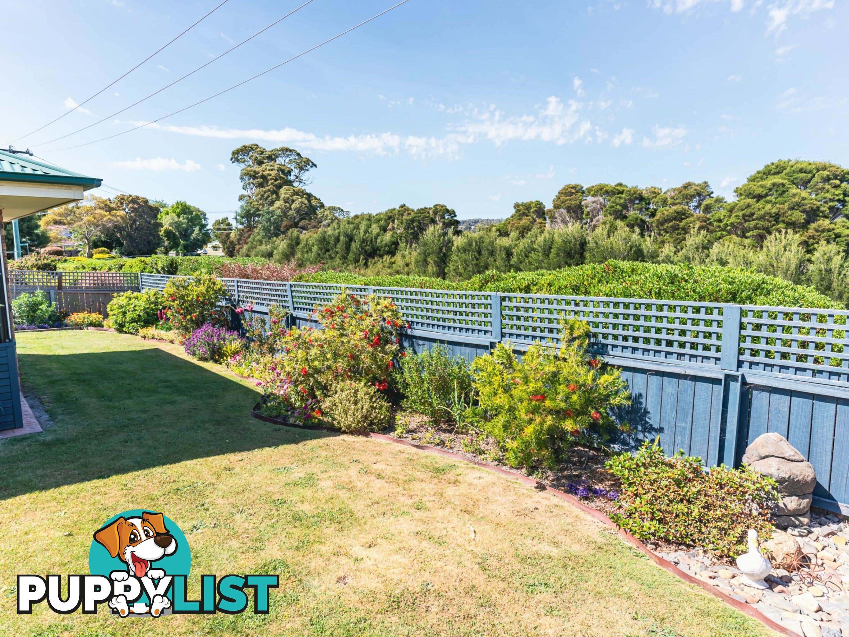 3 Driftwood Lane ST HELENS TAS 7216