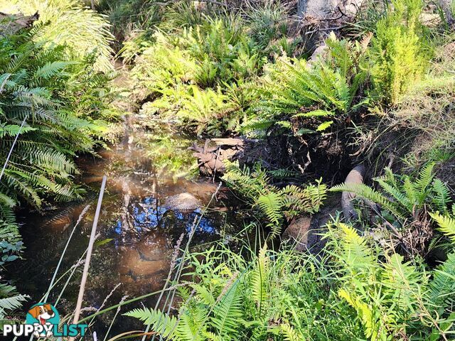 Lot Lot 1/221 Irish Town Road ST MARYS TAS 7215