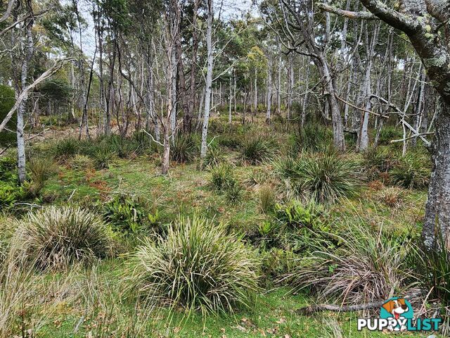 Lot Lot 1/221 Irish Town Road ST MARYS TAS 7215