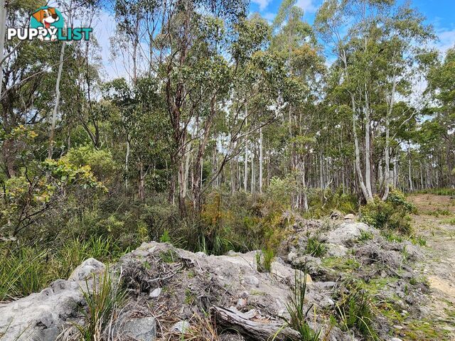 Lot Lot 1/221 Irish Town Road ST MARYS TAS 7215