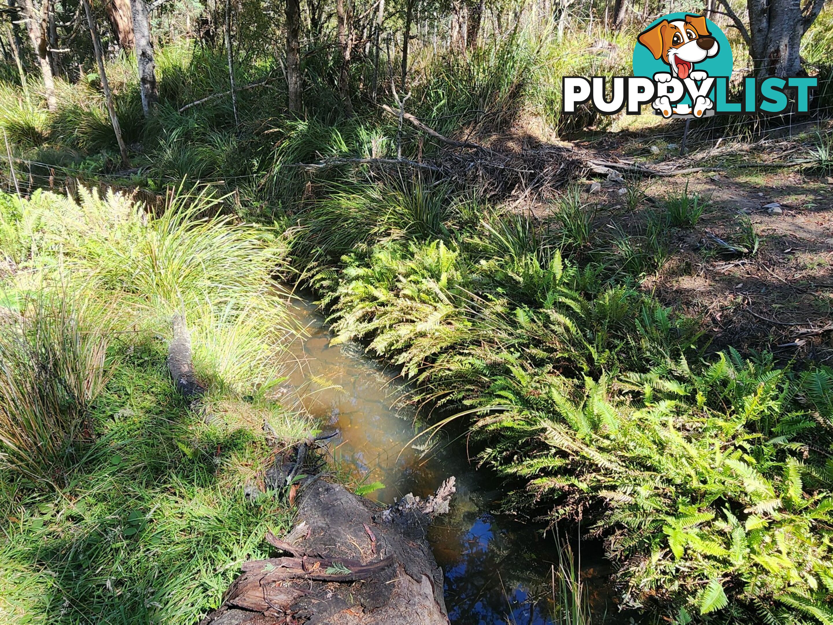 Lot Lot 1/221 Irish Town Road ST MARYS TAS 7215
