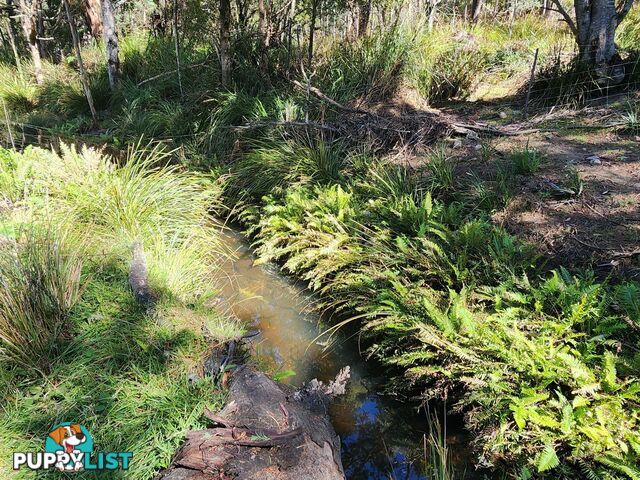 Lot Lot 1/221 Irish Town Road ST MARYS TAS 7215