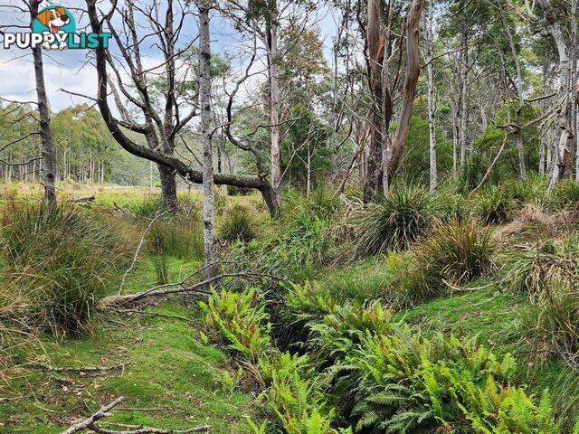 Lot Lot 1/221 Irish Town Road ST MARYS TAS 7215