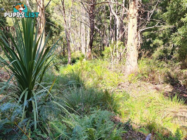 Lot Lot 1/221 Irish Town Road ST MARYS TAS 7215