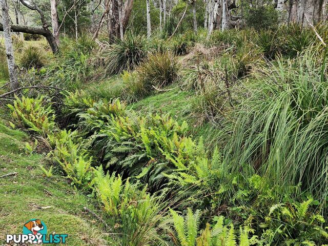 Lot Lot 1/221 Irish Town Road ST MARYS TAS 7215