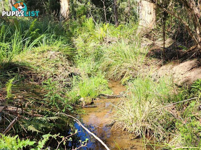 Lot Lot 1/221 Irish Town Road ST MARYS TAS 7215