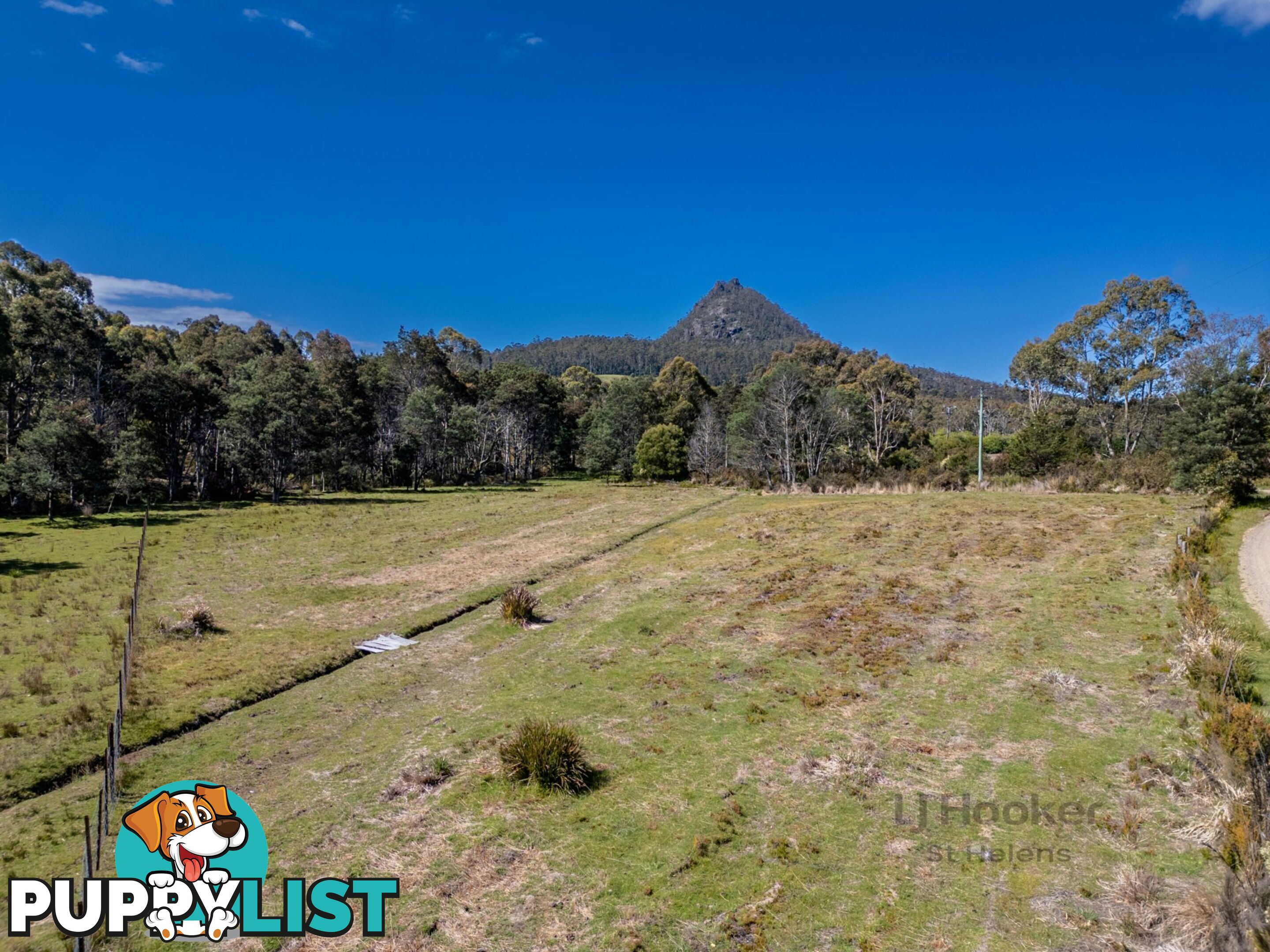 Lot Lot 1/221 Irish Town Road ST MARYS TAS 7215