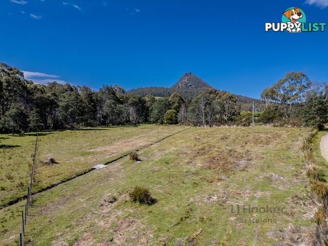 Lot Lot 1/221 Irish Town Road ST MARYS TAS 7215