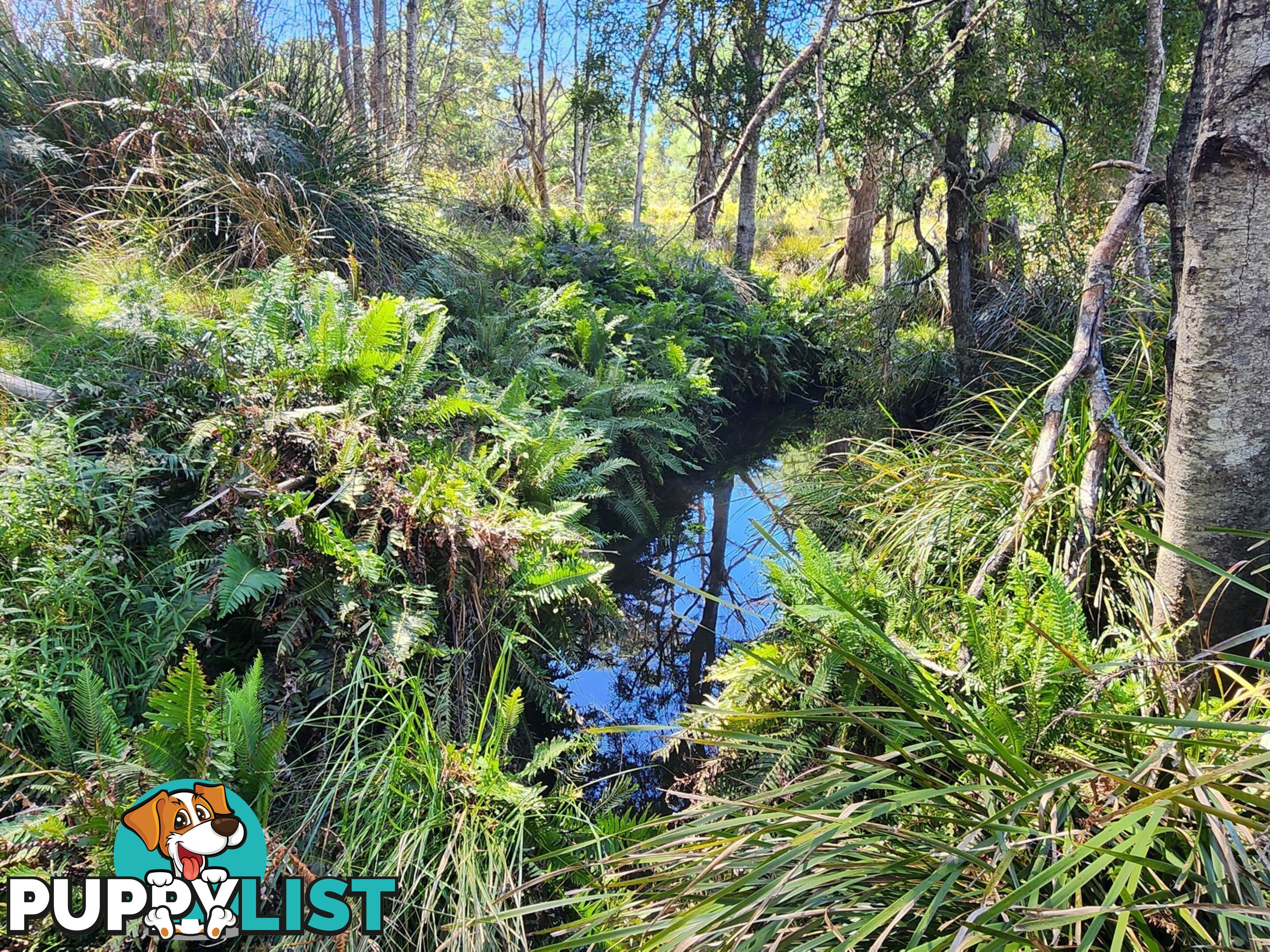 Lot Lot 1/221 Irish Town Road ST MARYS TAS 7215