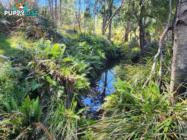 Lot Lot 1/221 Irish Town Road ST MARYS TAS 7215