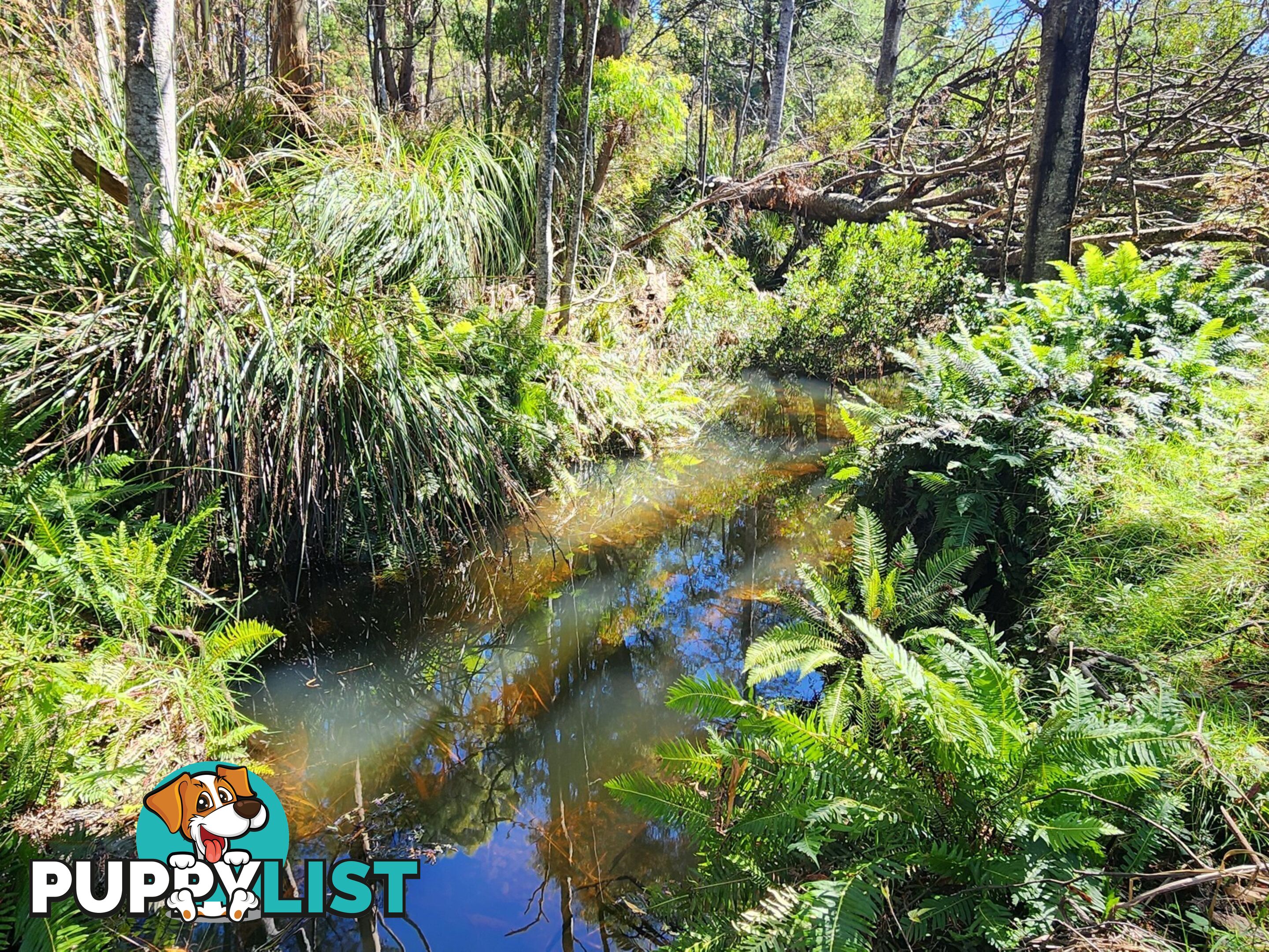 Lot Lot 1/221 Irish Town Road ST MARYS TAS 7215