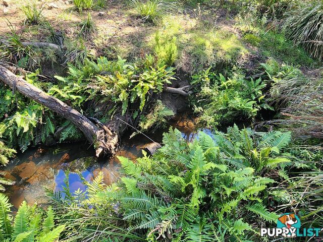 Lot Lot 1/221 Irish Town Road ST MARYS TAS 7215