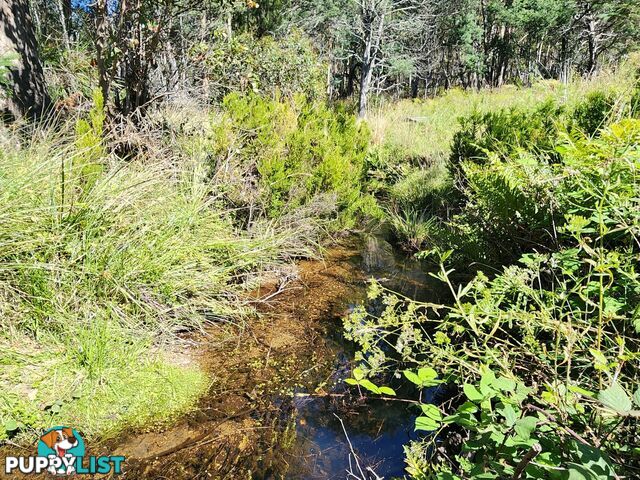 Lot Lot 1/221 Irish Town Road ST MARYS TAS 7215
