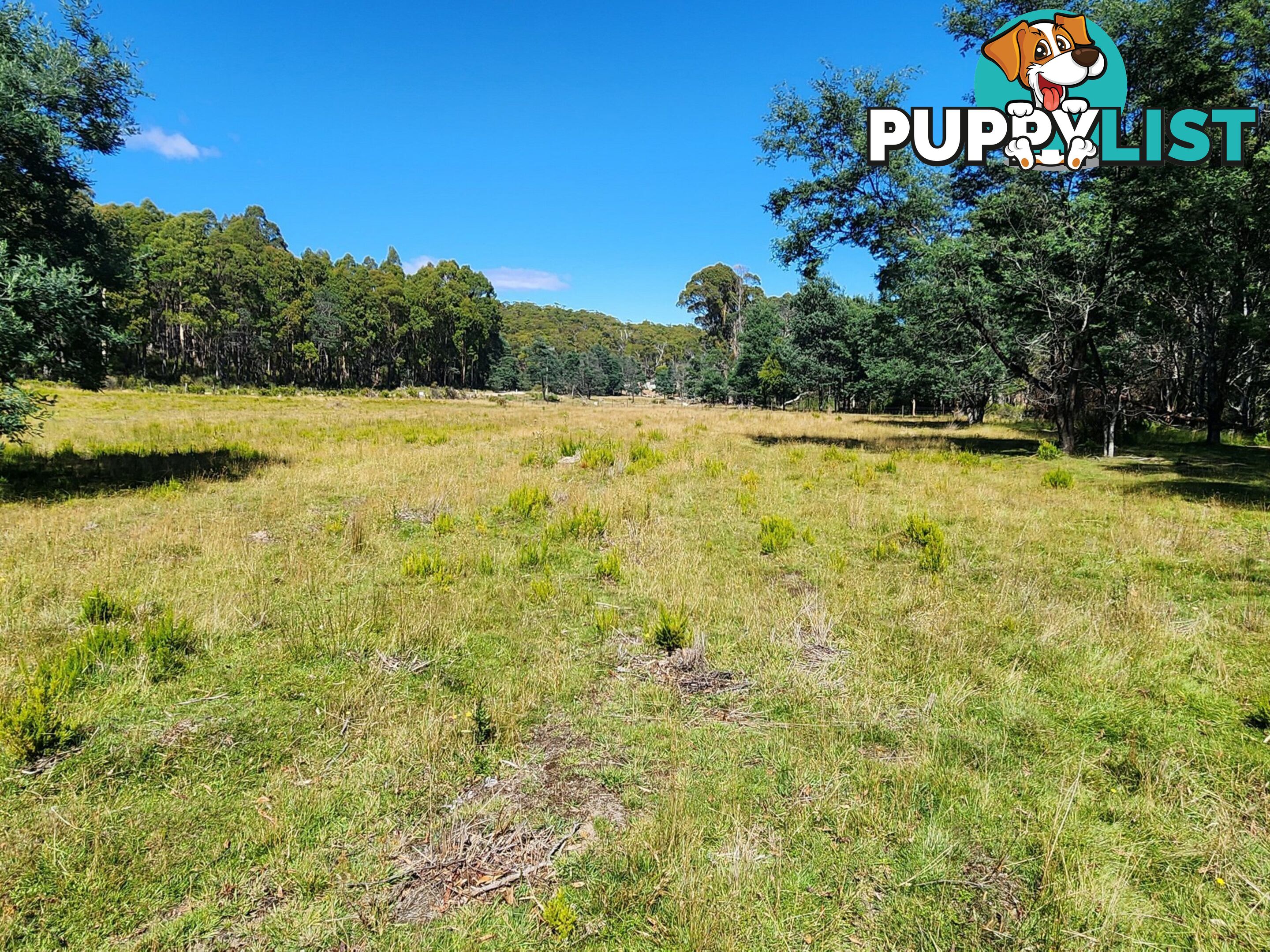 Lot Lot 1/221 Irish Town Road ST MARYS TAS 7215