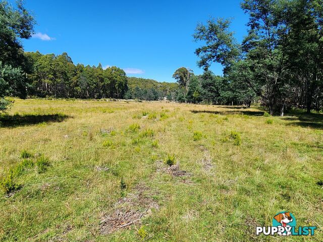 Lot Lot 1/221 Irish Town Road ST MARYS TAS 7215