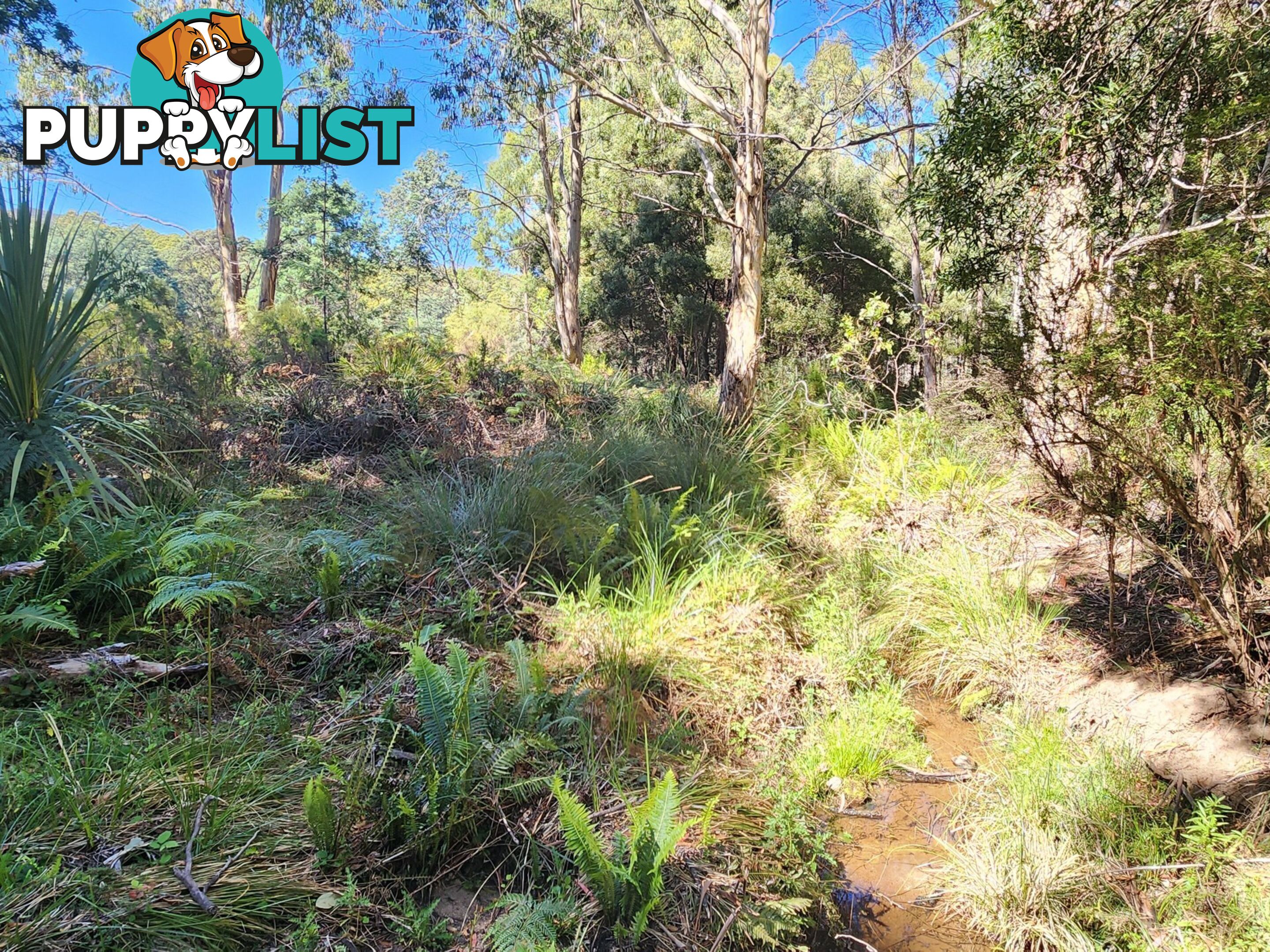 Lot Lot 1/221 Irish Town Road ST MARYS TAS 7215