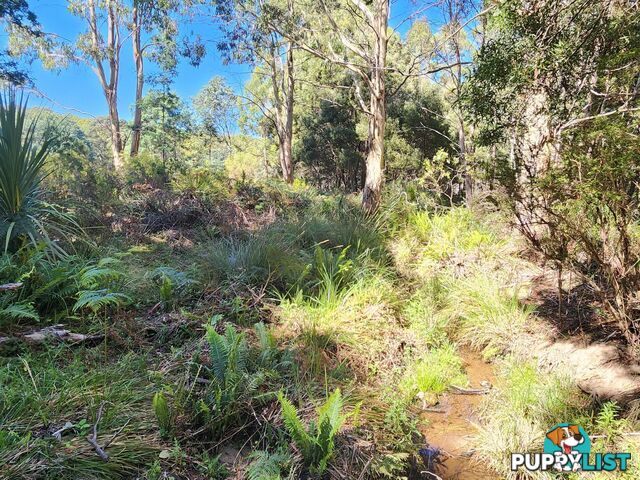 Lot Lot 1/221 Irish Town Road ST MARYS TAS 7215