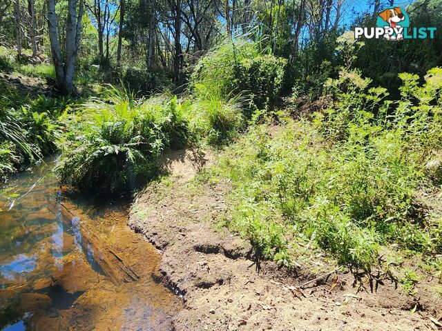 Lot Lot 1/221 Irish Town Road ST MARYS TAS 7215