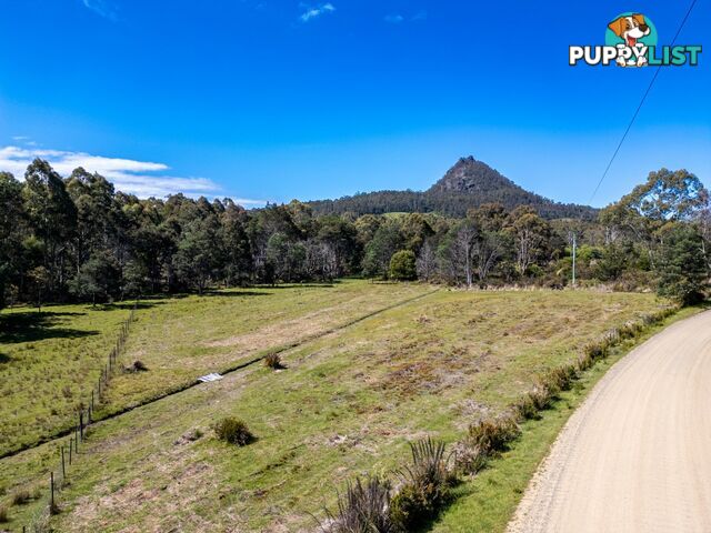 Lot Lot 1/221 Irish Town Road ST MARYS TAS 7215