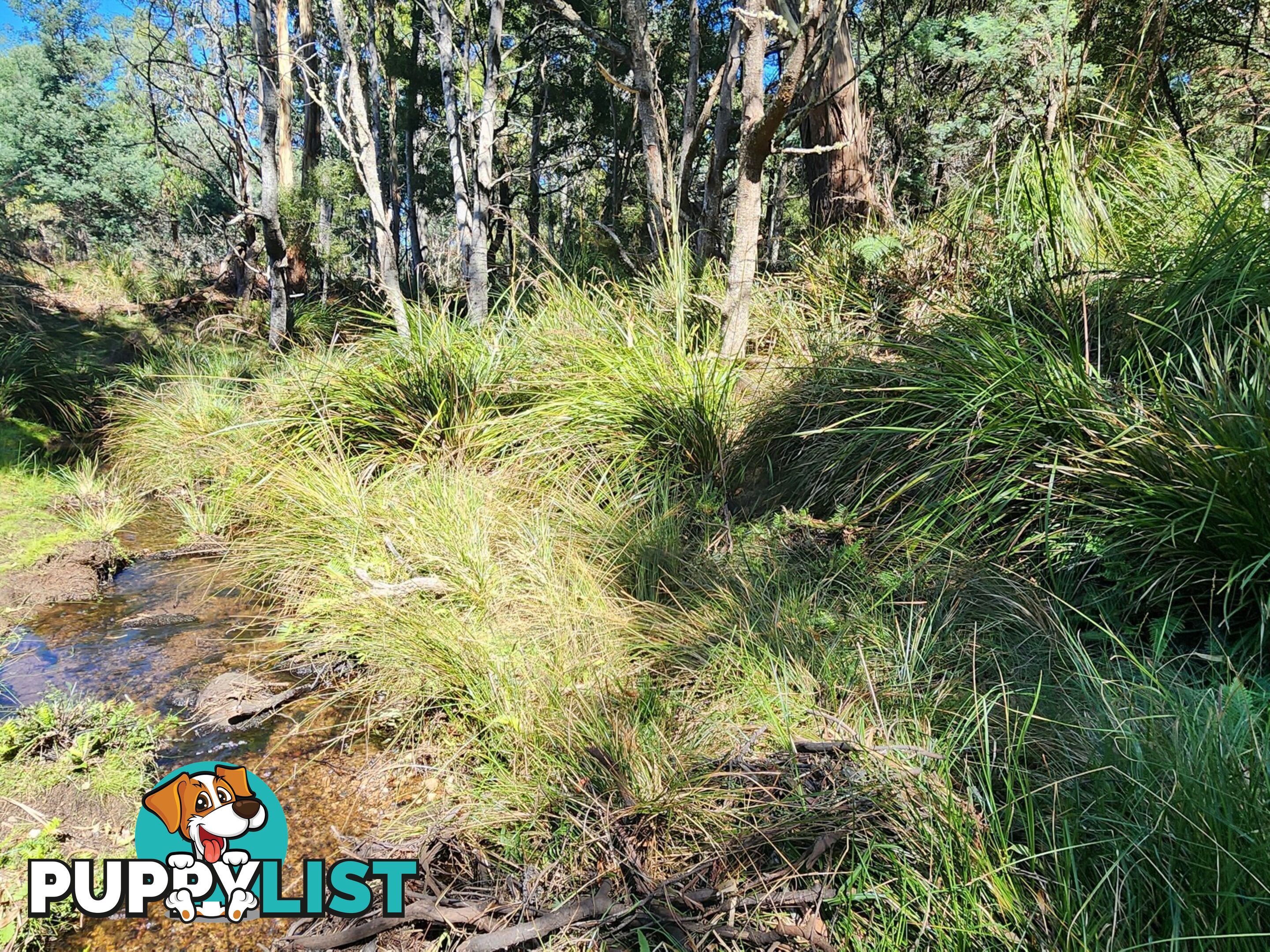 Lot Lot 1/221 Irish Town Road ST MARYS TAS 7215