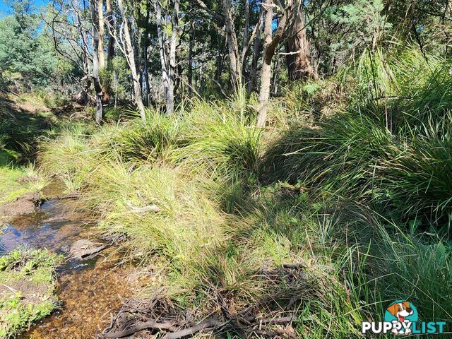 Lot Lot 1/221 Irish Town Road ST MARYS TAS 7215