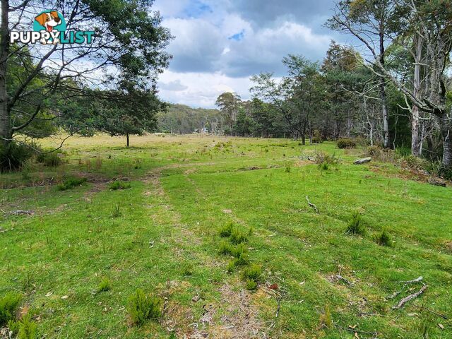 Lot Lot 1/221 Irish Town Road ST MARYS TAS 7215