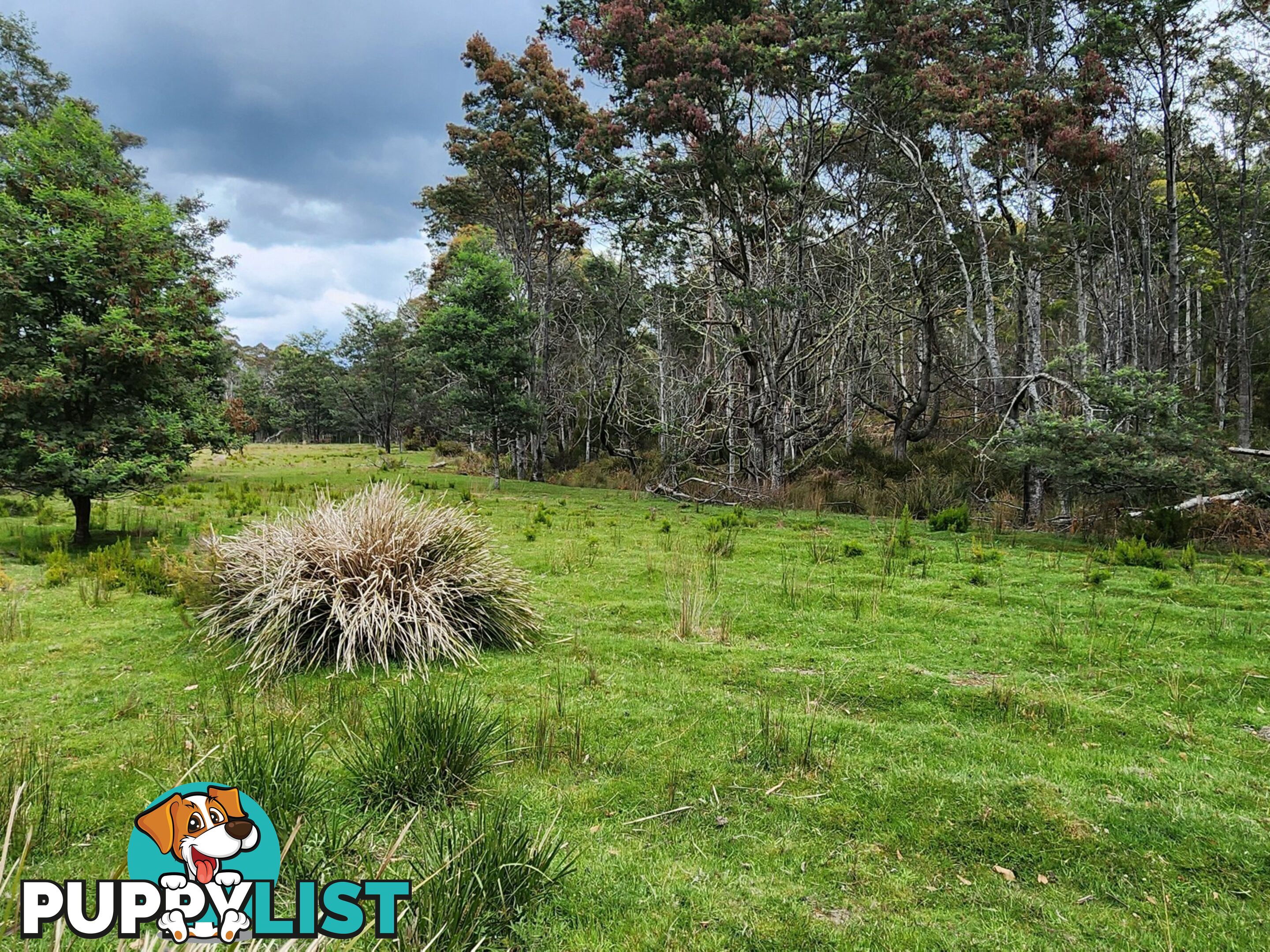 Lot Lot 1/221 Irish Town Road ST MARYS TAS 7215