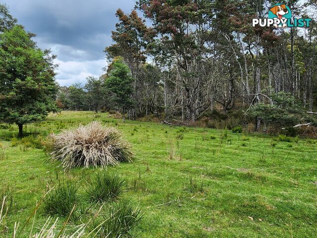 Lot Lot 1/221 Irish Town Road ST MARYS TAS 7215