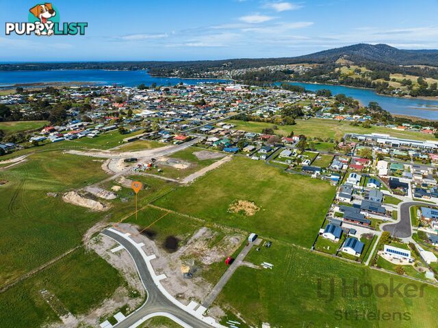 Lot 30 Annabel Drive ST HELENS TAS 7216