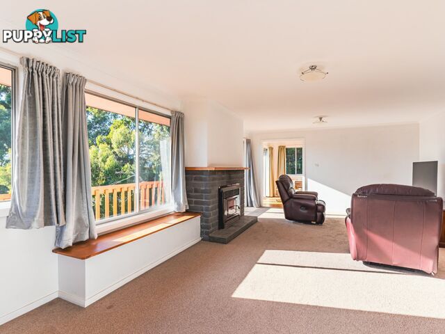 7 Lawry Heights ST HELENS TAS 7216