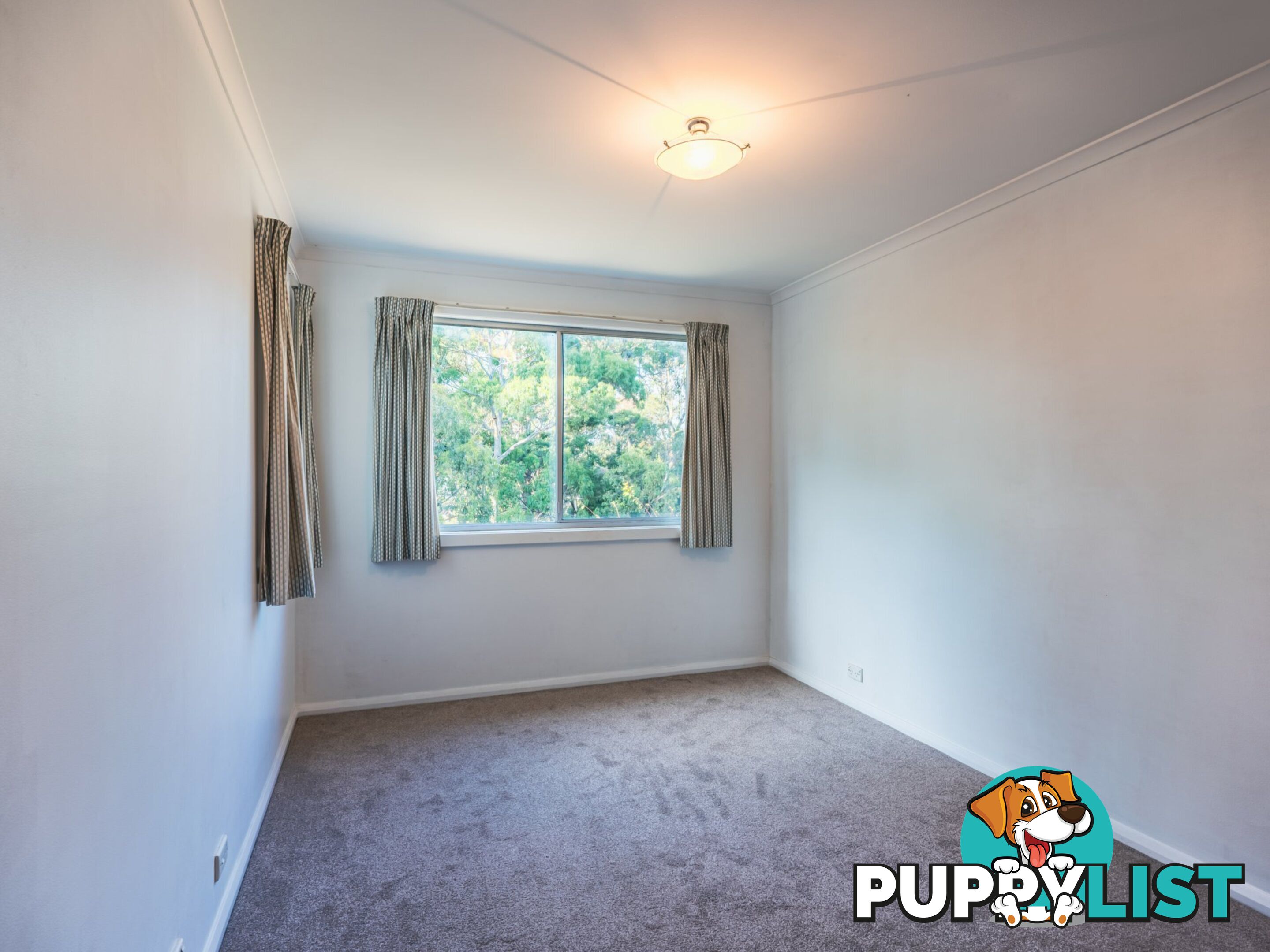 7 Lawry Heights ST HELENS TAS 7216