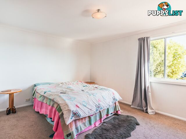 7 Lawry Heights ST HELENS TAS 7216