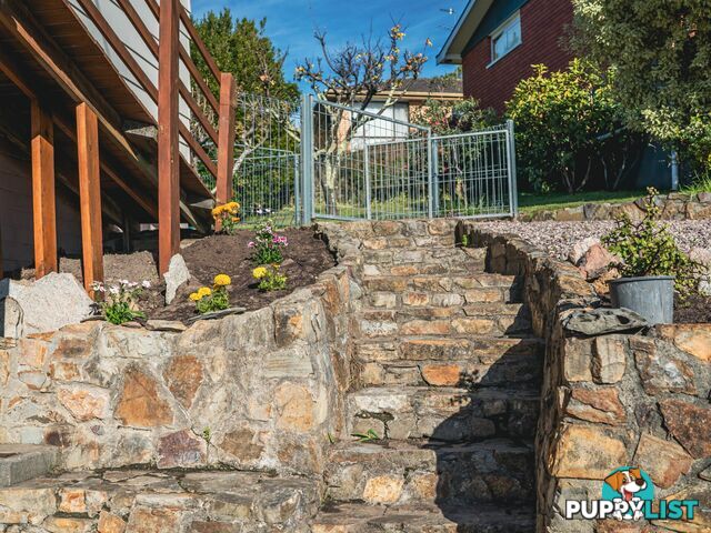 7 Lawry Heights ST HELENS TAS 7216