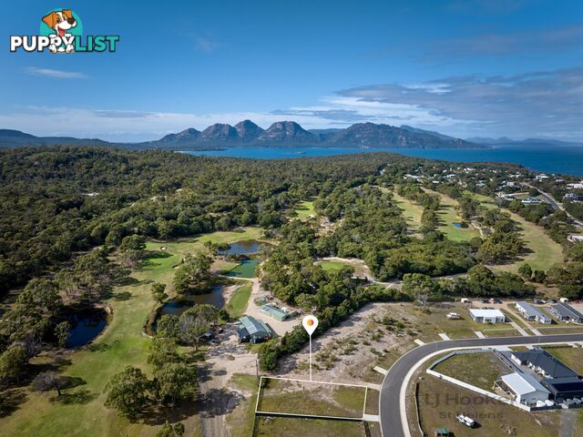 24 Kunzea Circuit COLES BAY TAS 7215