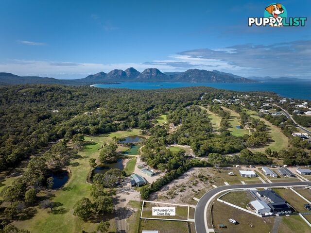 24 Kunzea Circuit COLES BAY TAS 7215