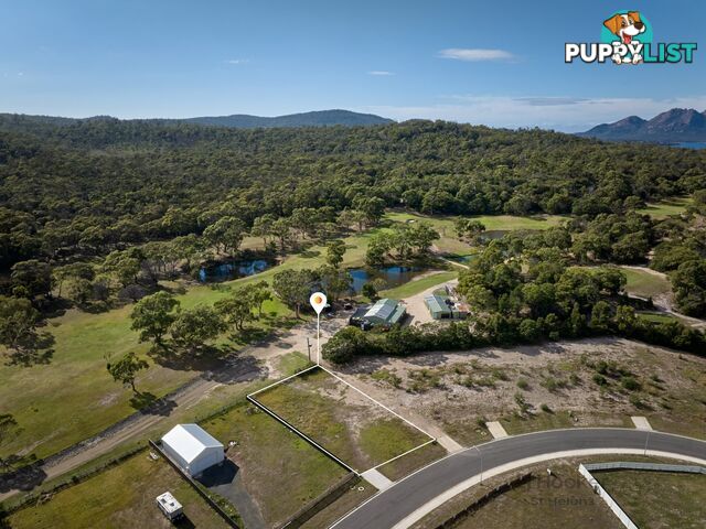 24 Kunzea Circuit COLES BAY TAS 7215