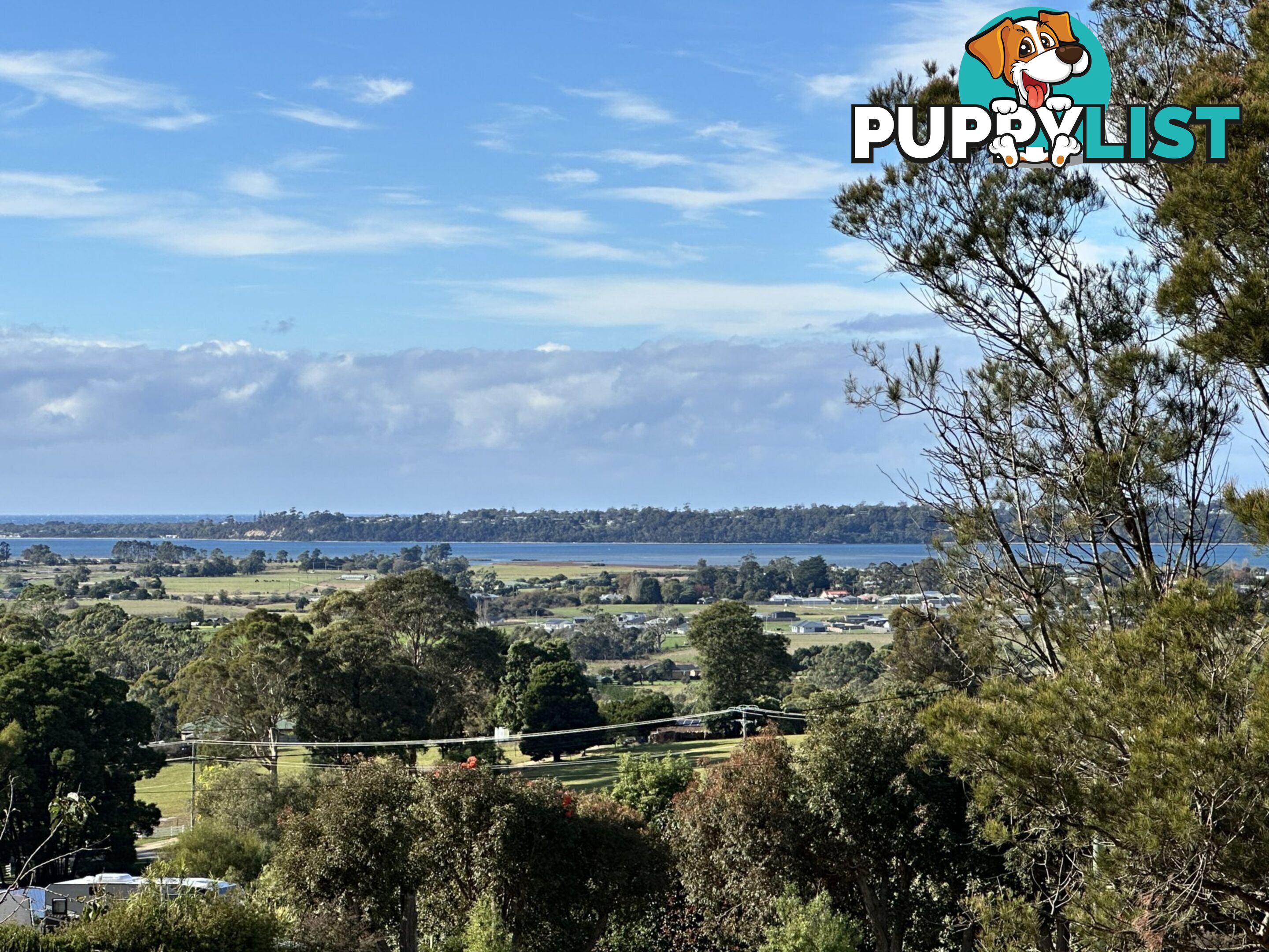 25606 Tasman Highway ST HELENS TAS 7216
