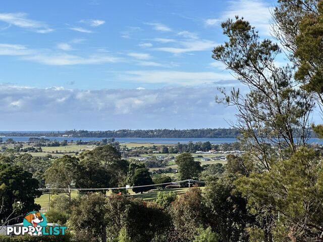 25606 Tasman Highway ST HELENS TAS 7216