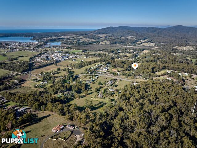 25606 Tasman Highway ST HELENS TAS 7216