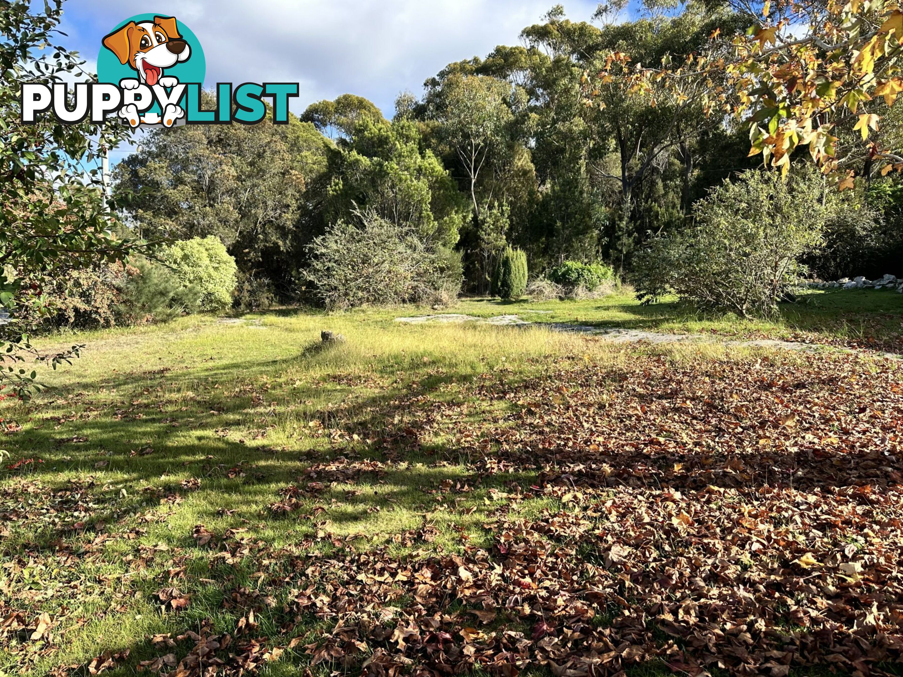 25606 Tasman Highway ST HELENS TAS 7216