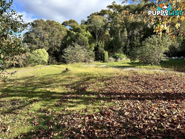 25606 Tasman Highway ST HELENS TAS 7216