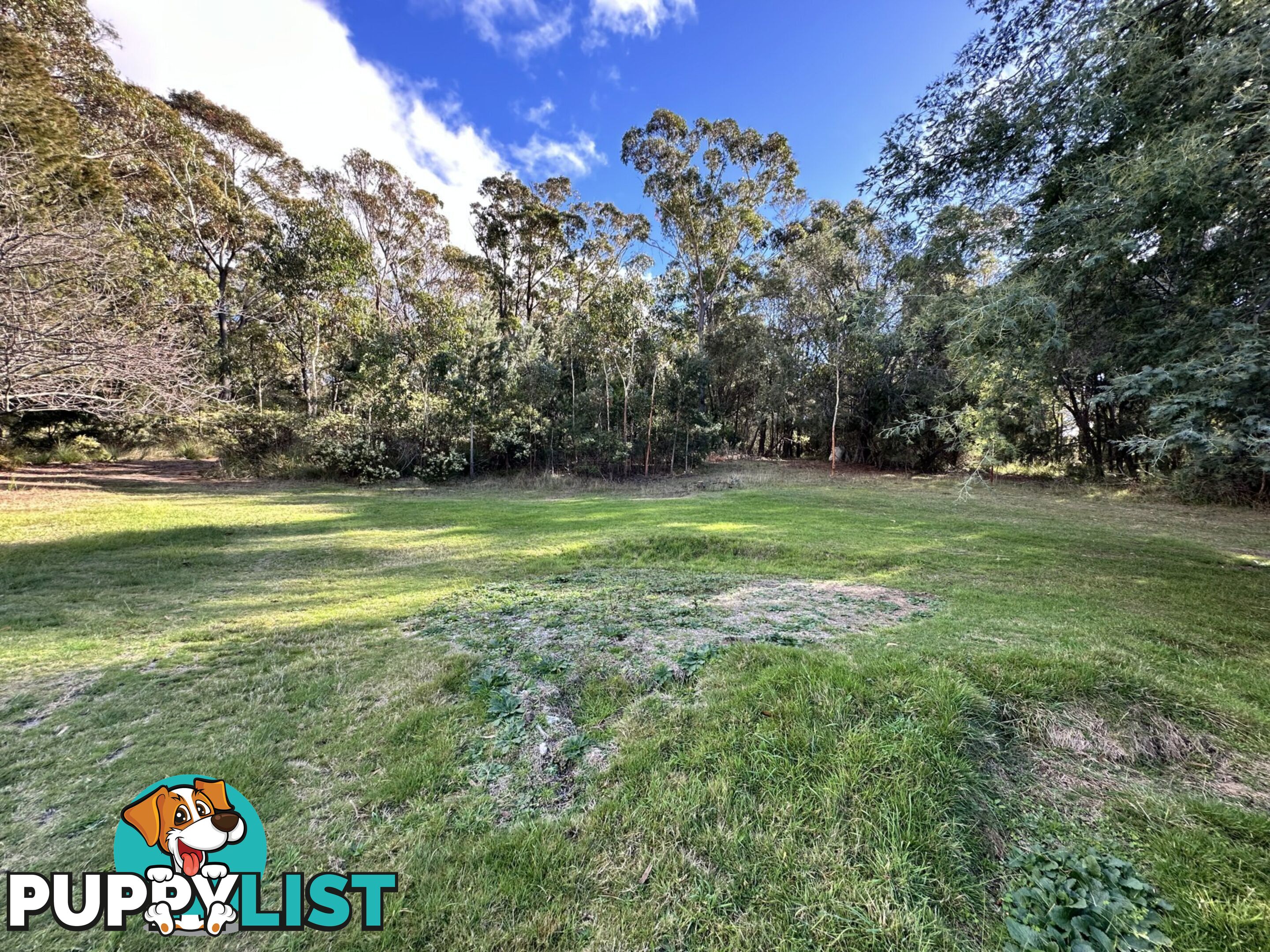 25606 Tasman Highway ST HELENS TAS 7216
