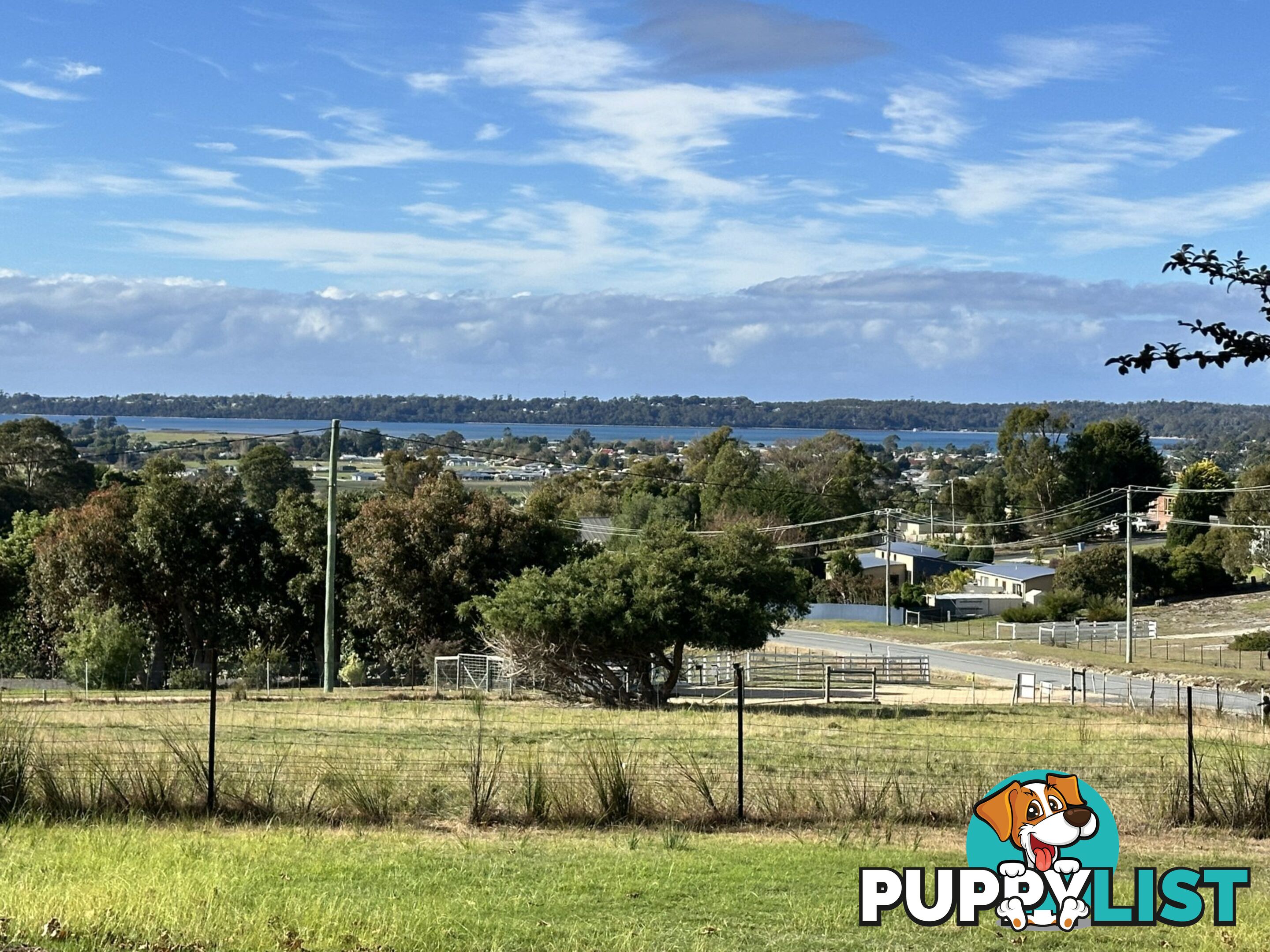 25606 Tasman Highway ST HELENS TAS 7216
