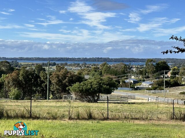 25606 Tasman Highway ST HELENS TAS 7216