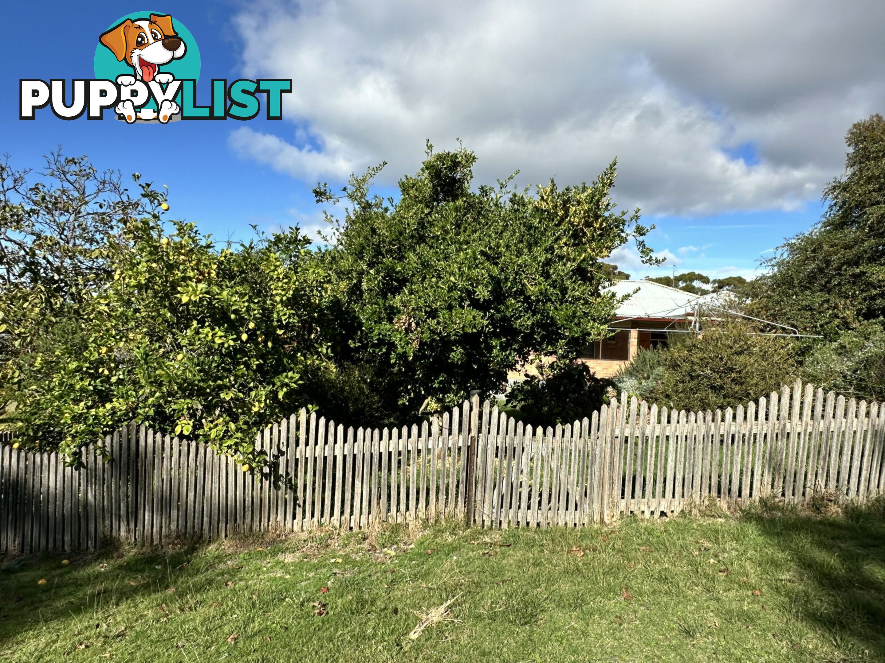 25606 Tasman Highway ST HELENS TAS 7216