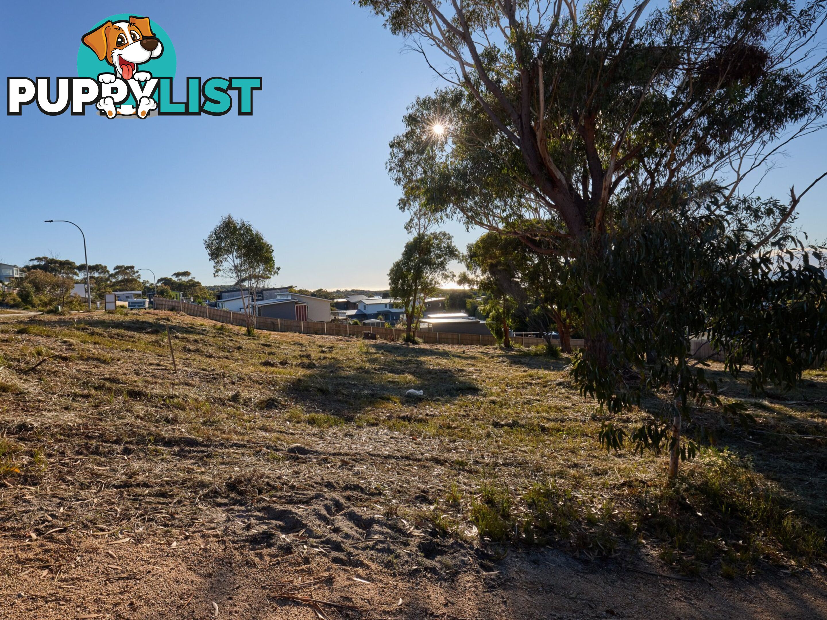 9 Sunrise Court SCAMANDER TAS 7215