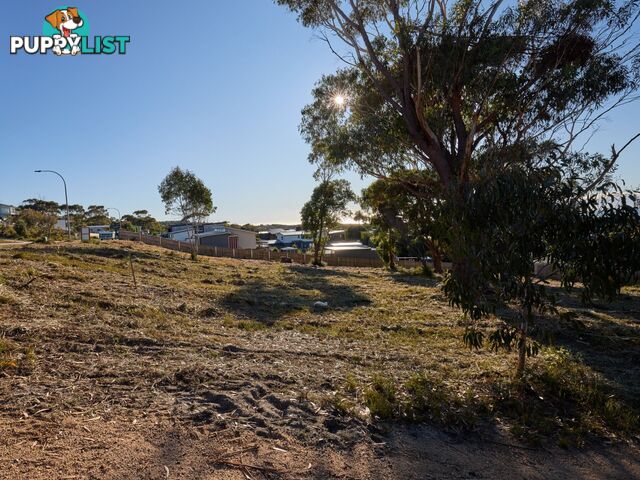 9 Sunrise Court SCAMANDER TAS 7215