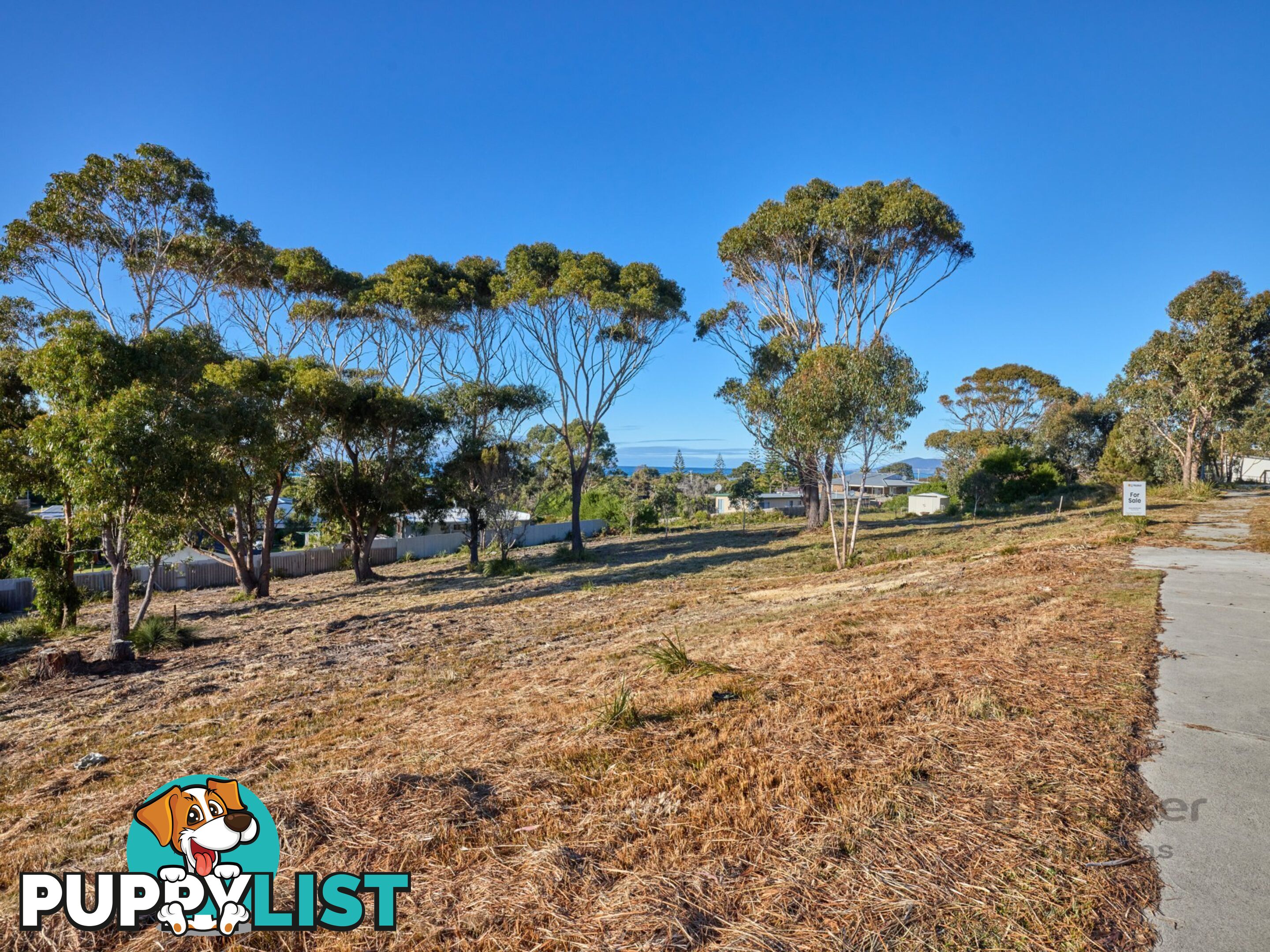 9 Sunrise Court SCAMANDER TAS 7215